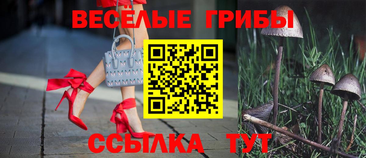 Галлюциногенные грибы мицелий  Вход с VPN  купить  сайты  Набережные Челны  Галлюциногенные грибы Psilocybine cubensis 