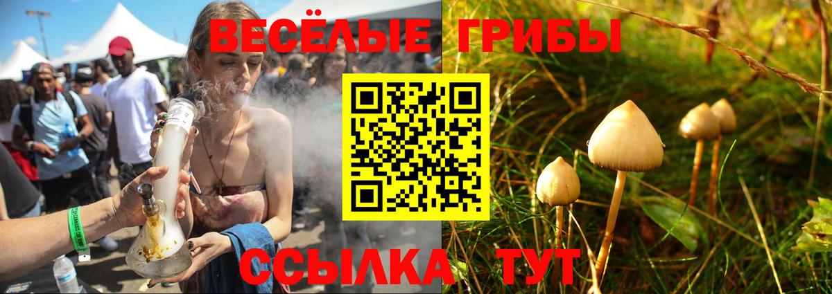 Псилоцибиновые грибы Psilocybine cubensis Набережные Челны